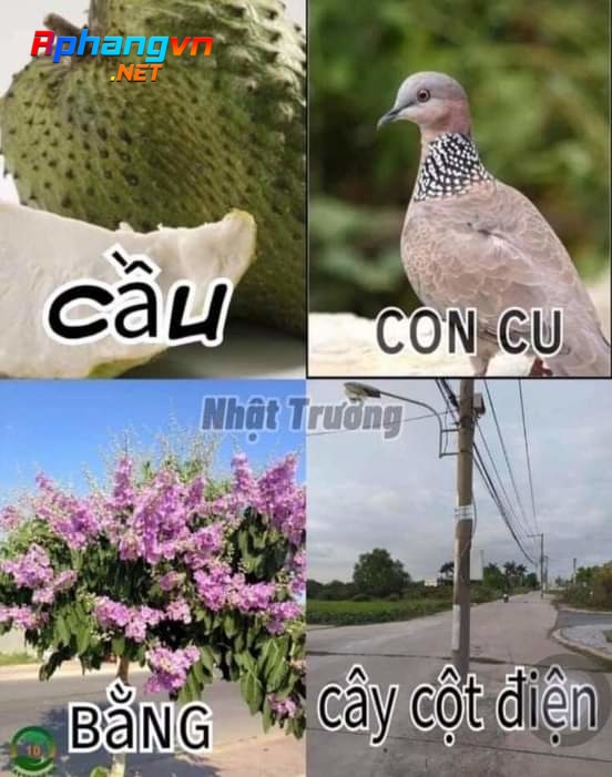 FB_IMG_1613070567188.jpg