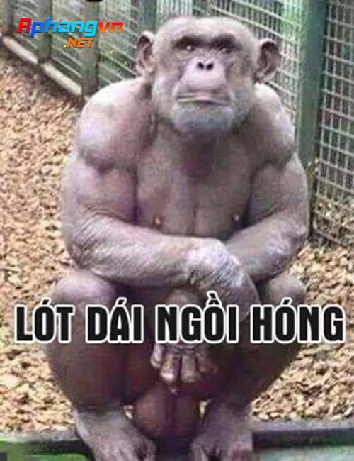 FB_IMG_1614794061478.jpg