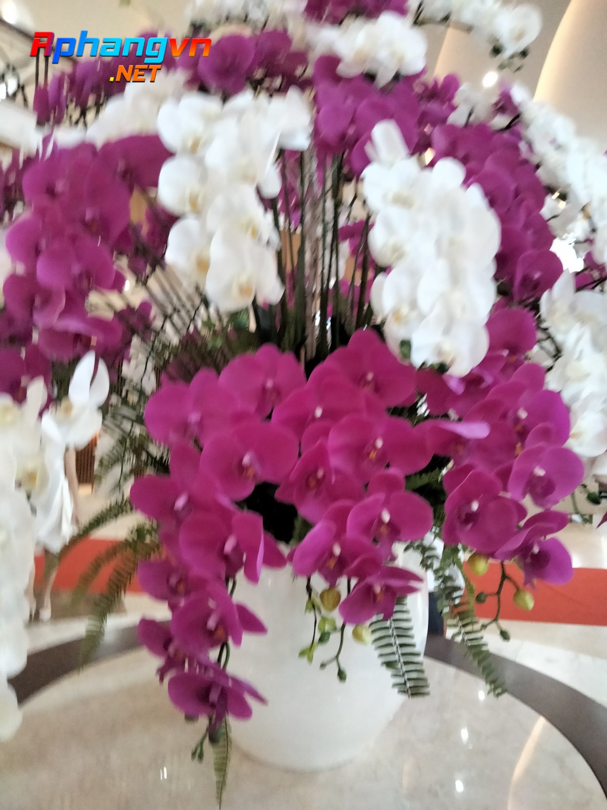 IMG20210401173039.jpg