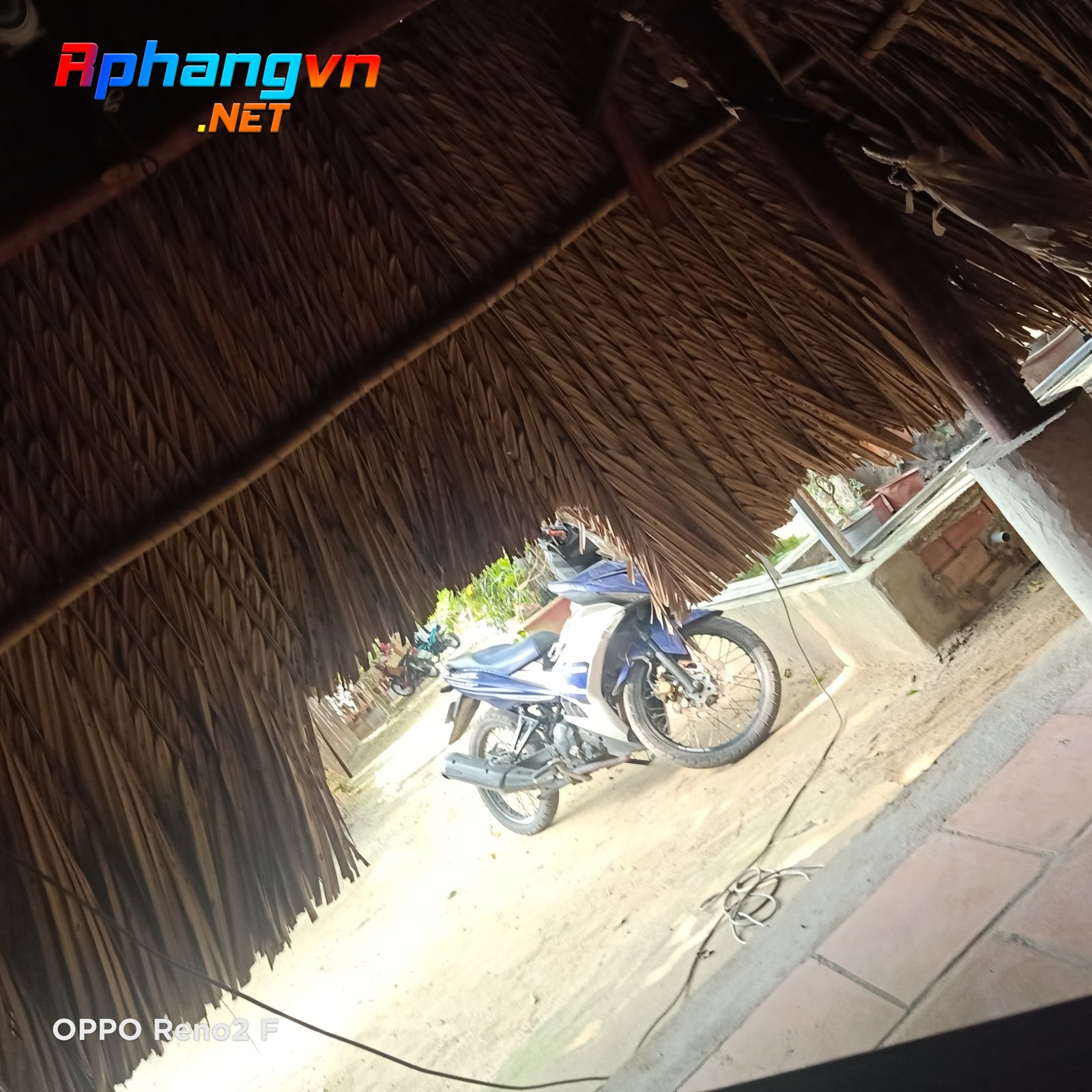 IMG20210511144538.jpg