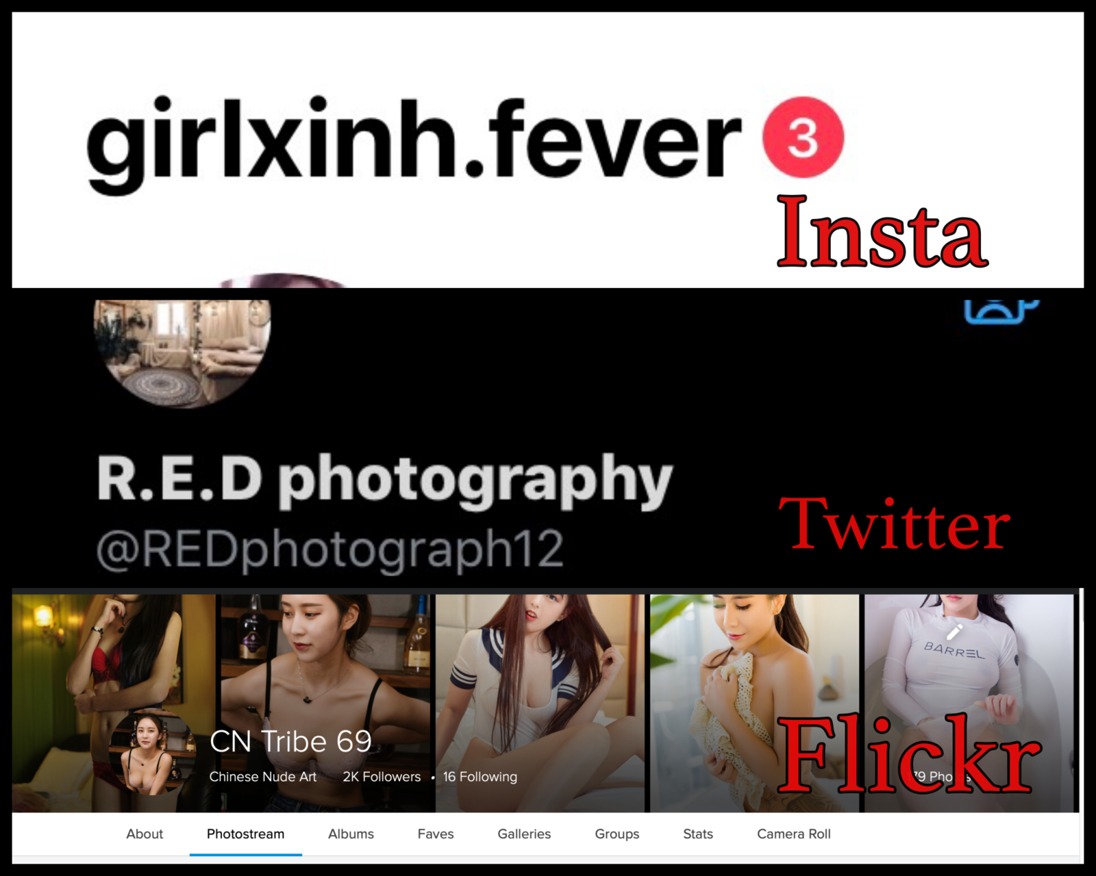 collage.png