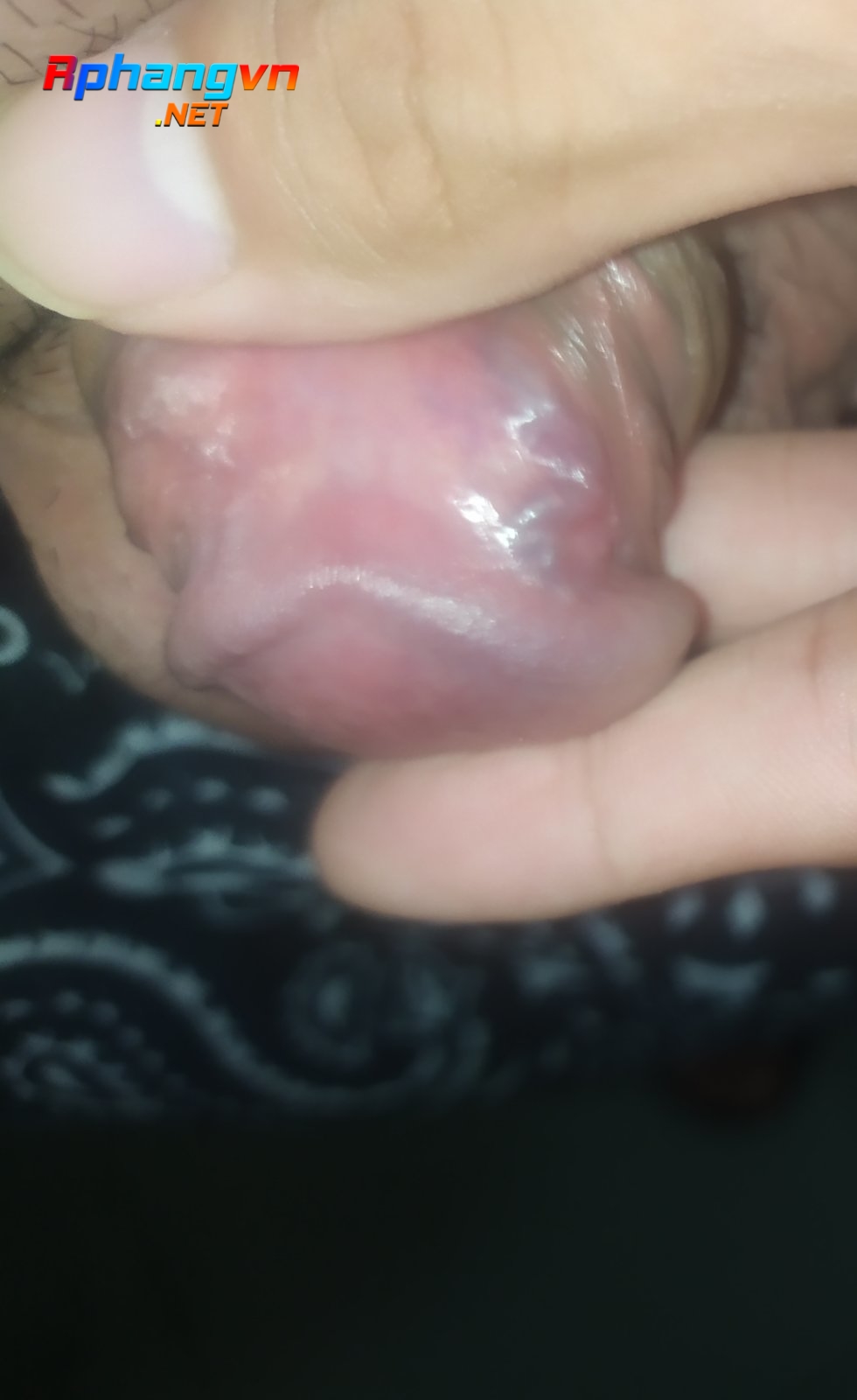 IMG_20210811_200818.jpg