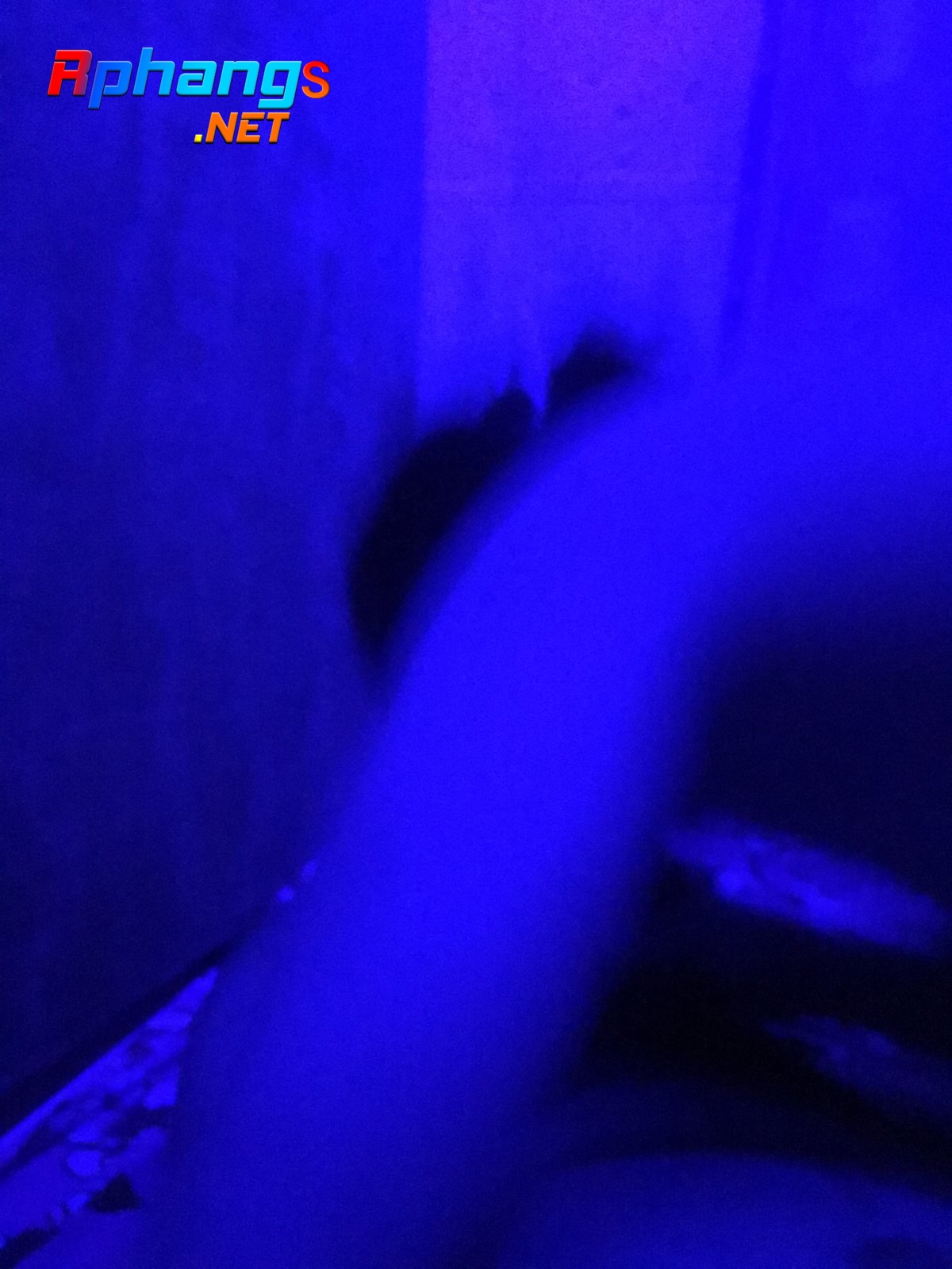 B05878C0-F71E-4B60-BB59-AB194C010463.jpeg