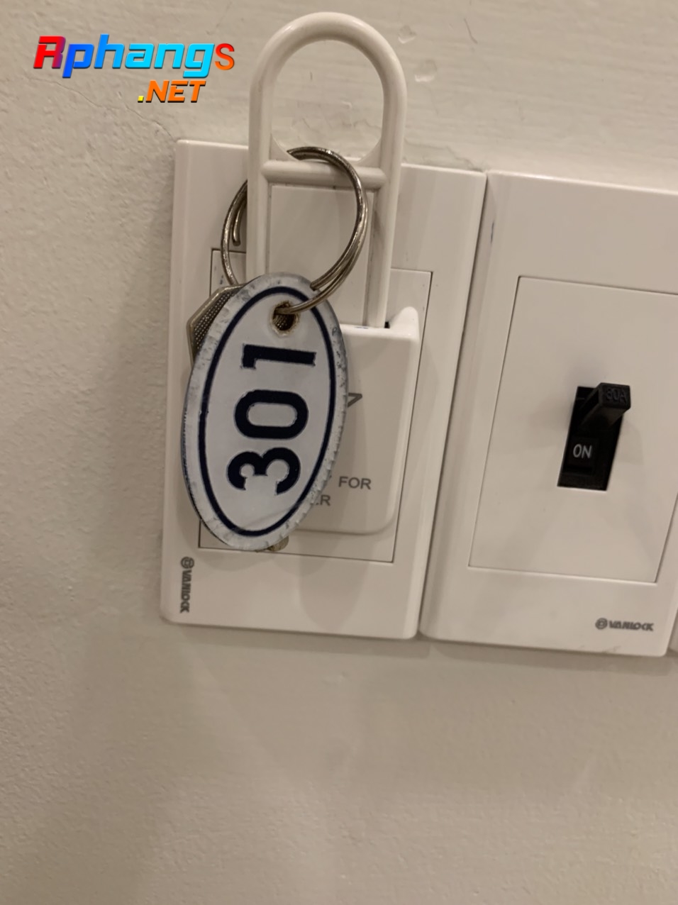z2986933882724_326c2606502410b66612c7418ebf8796.jpg