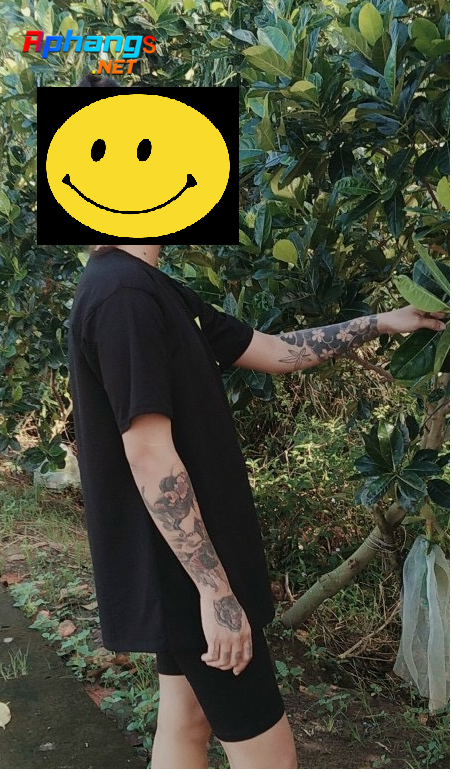 11.png