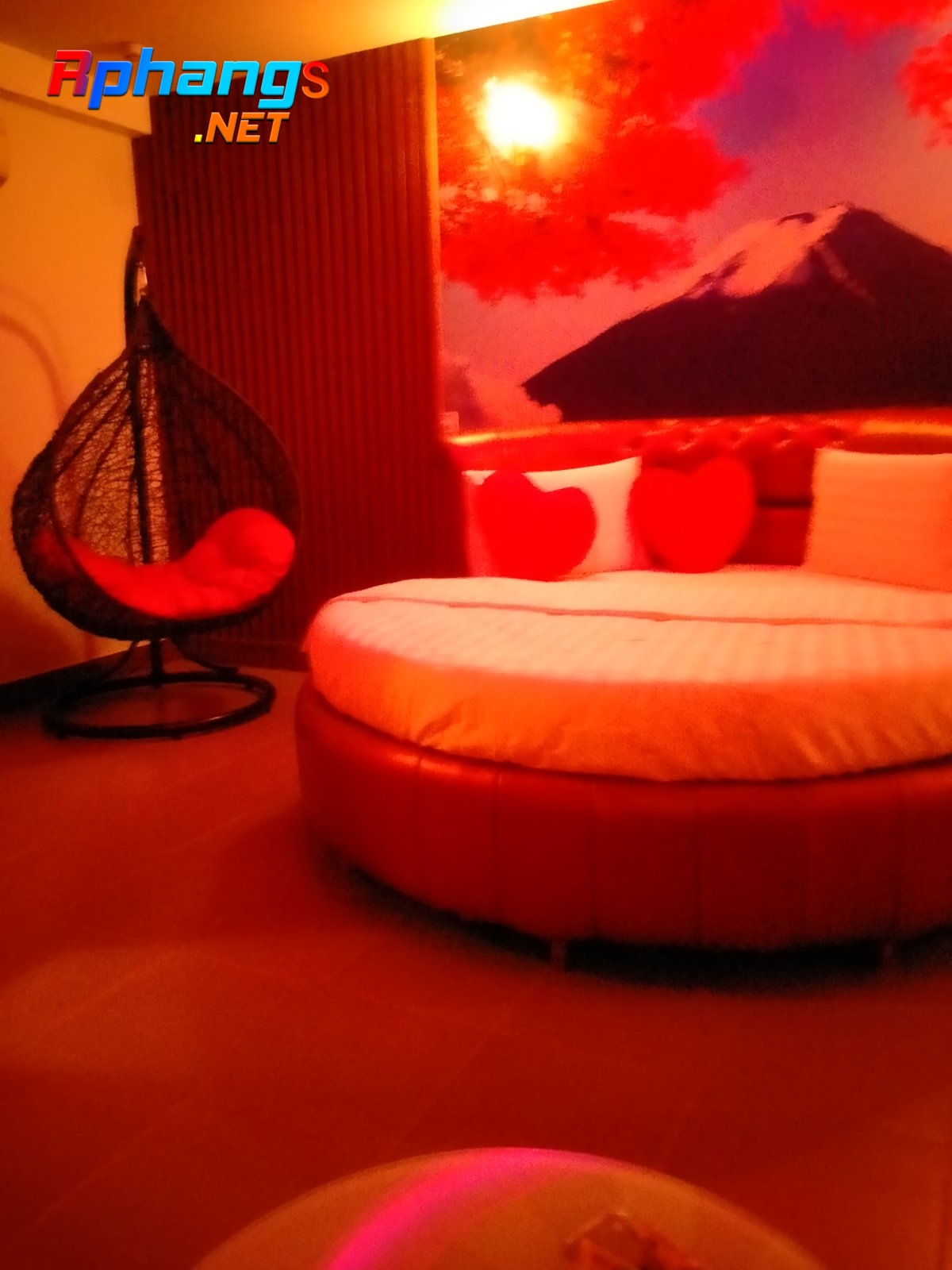 IMG20211226140244.jpg