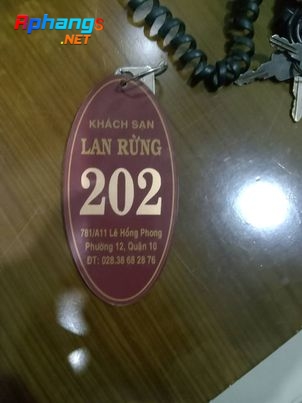 270329555_238947091724792_4480553739152769021_n.jpg