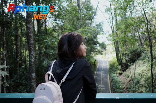 tvids = viet n4 26.28 (22).jpeg