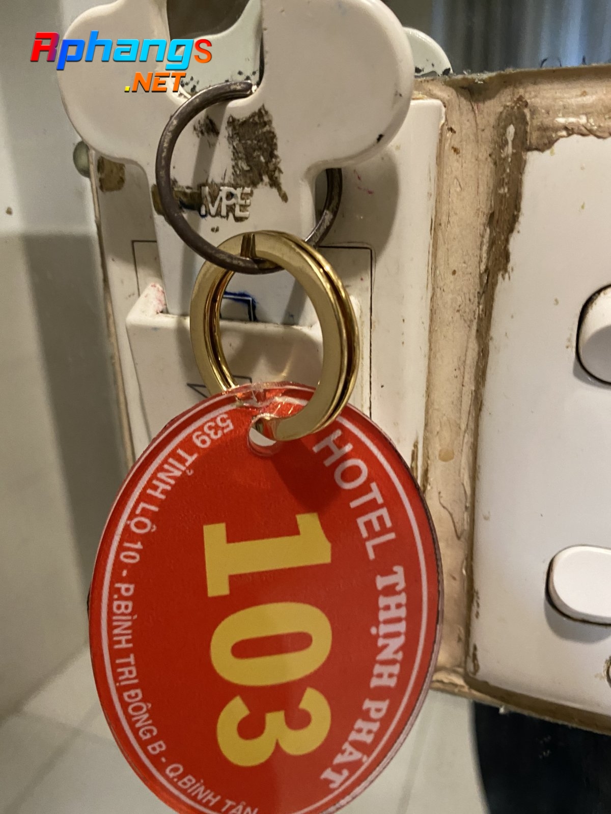 D3A3183C-EA12-4CCC-A3C4-DD342575E3BA.jpeg