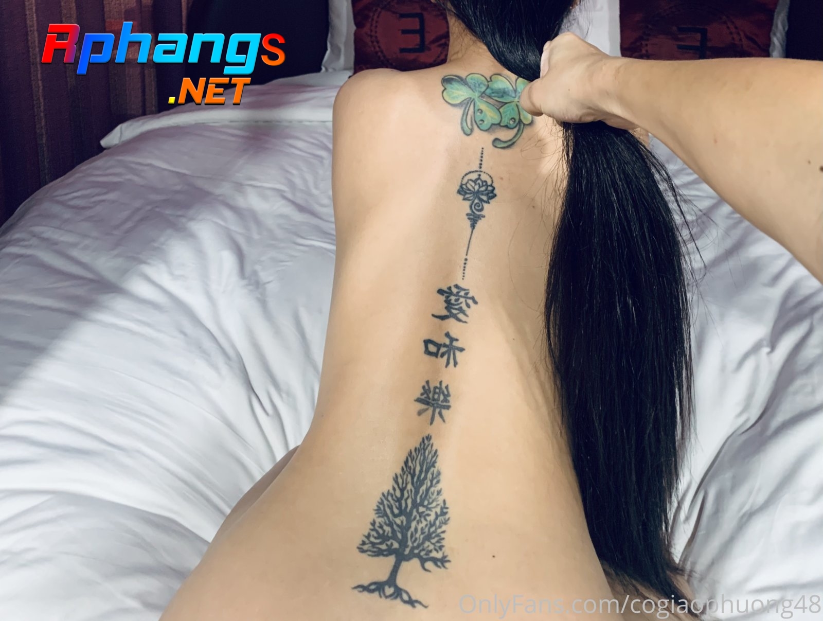 3735x2816_ee8bf7b7bbcc8d240dd5439fa138be23.jpg