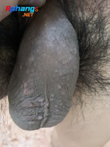 3a0977818bf547ab1ee4.jpg