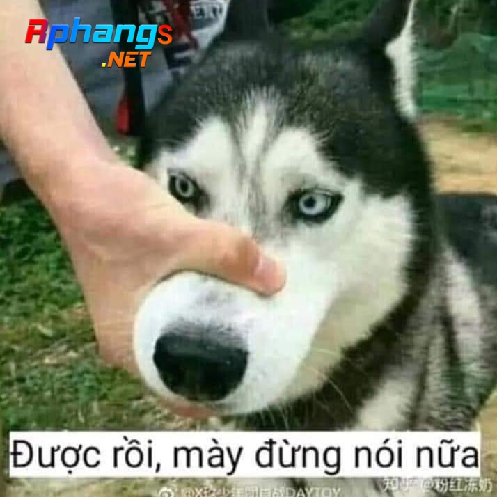 ADBD0A60-C154-4794-AF7B-030A08BD5C16.jpeg