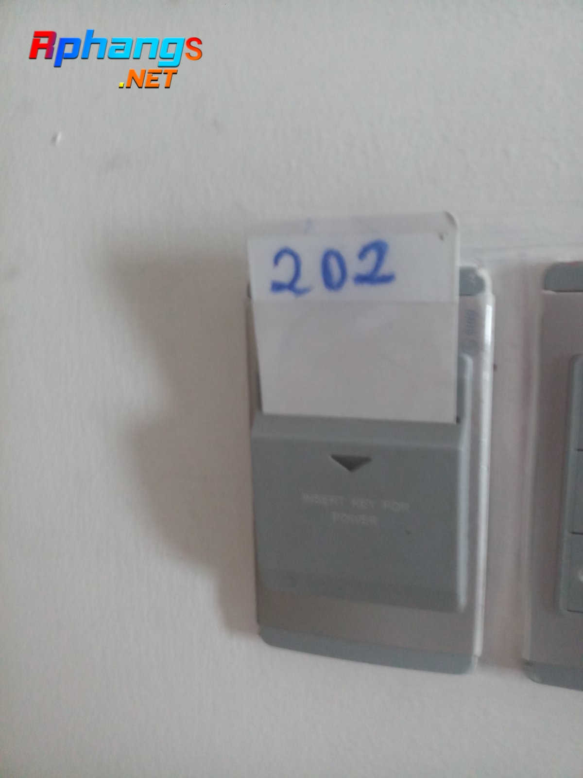 20220412_133141.jpg