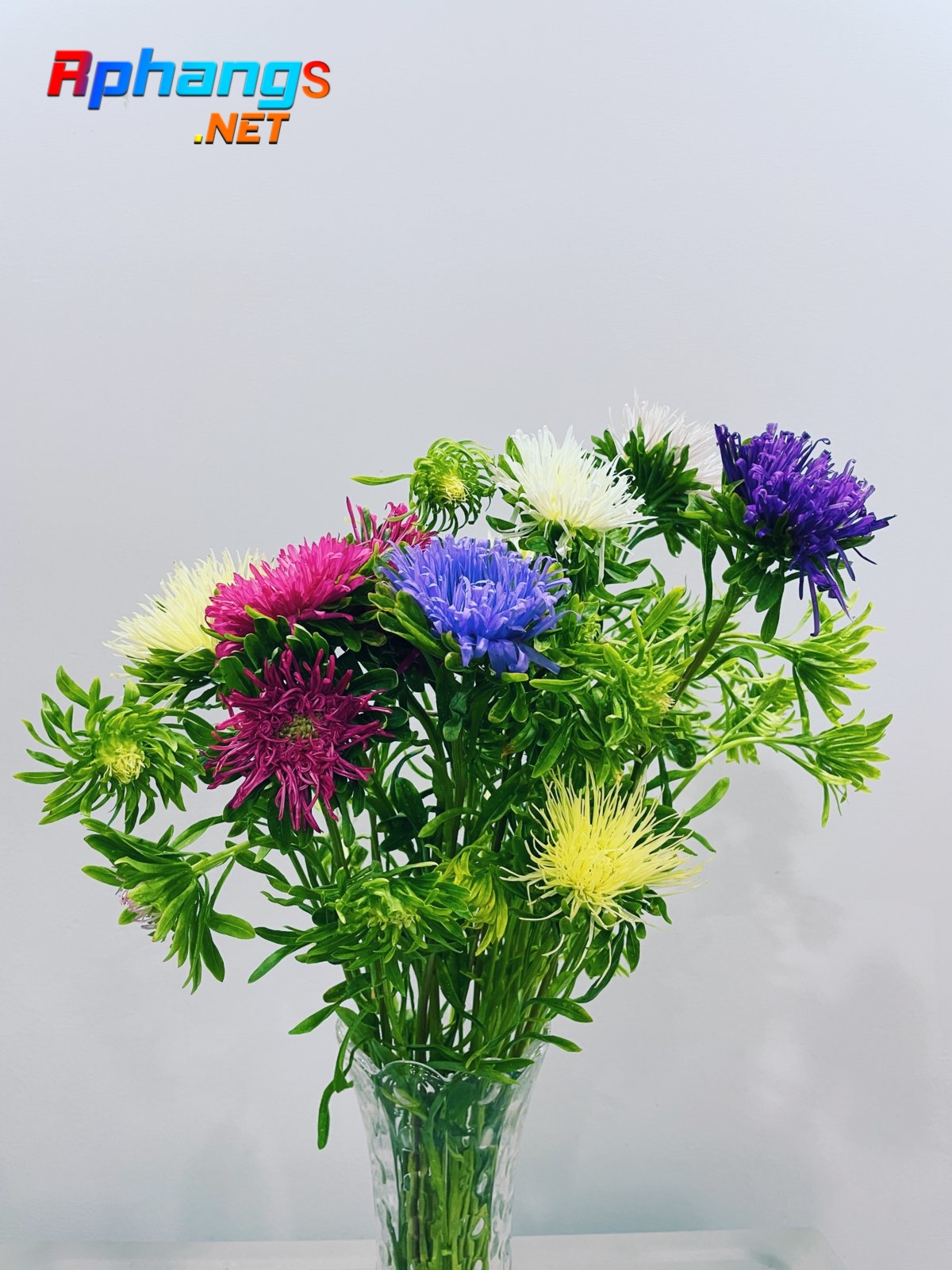 05B5B0CA-4E5A-4131-BA62-7C310DF84A0C.jpeg