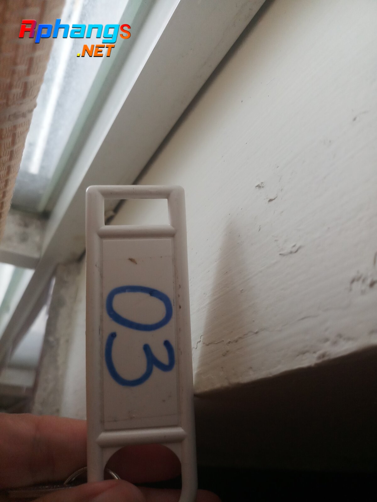 20220713_103102.jpg