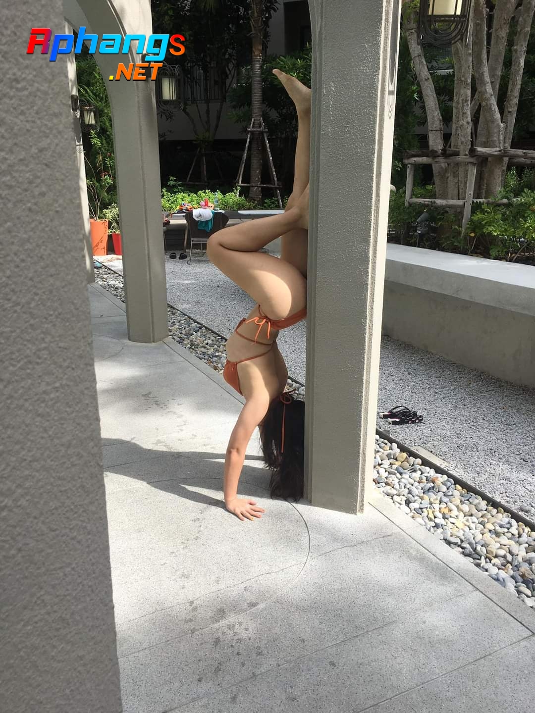 e1ef793f44688636df79.jpg