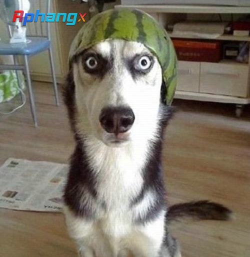 hinh-anh-hai-huoc-buon-cuoi.jpg