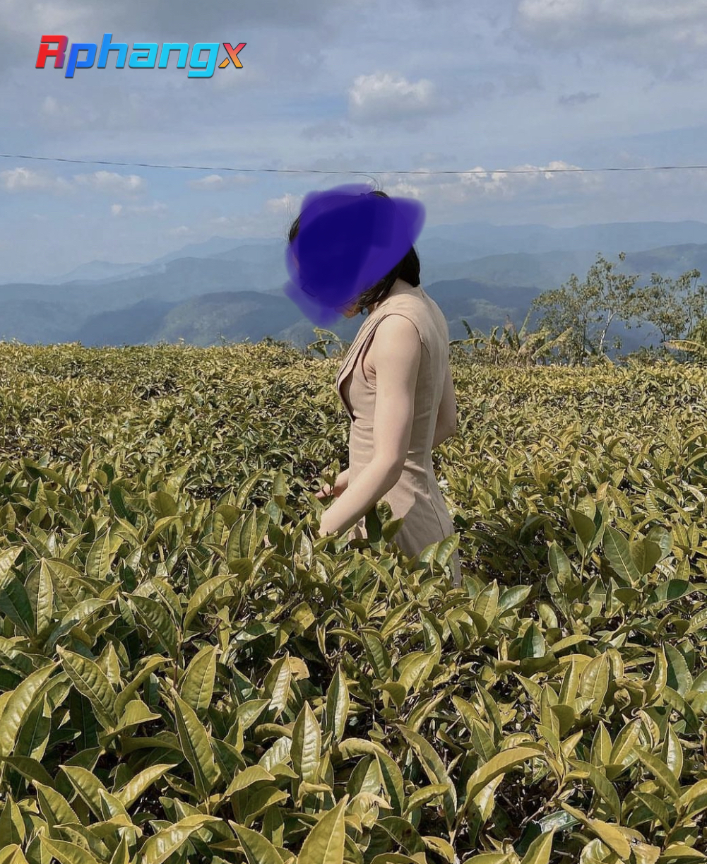 7D54075B-5483-4404-A817-3F052C2C44E5.jpeg