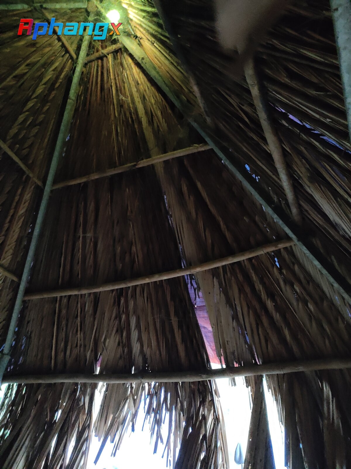 IMG20220817125101.jpg