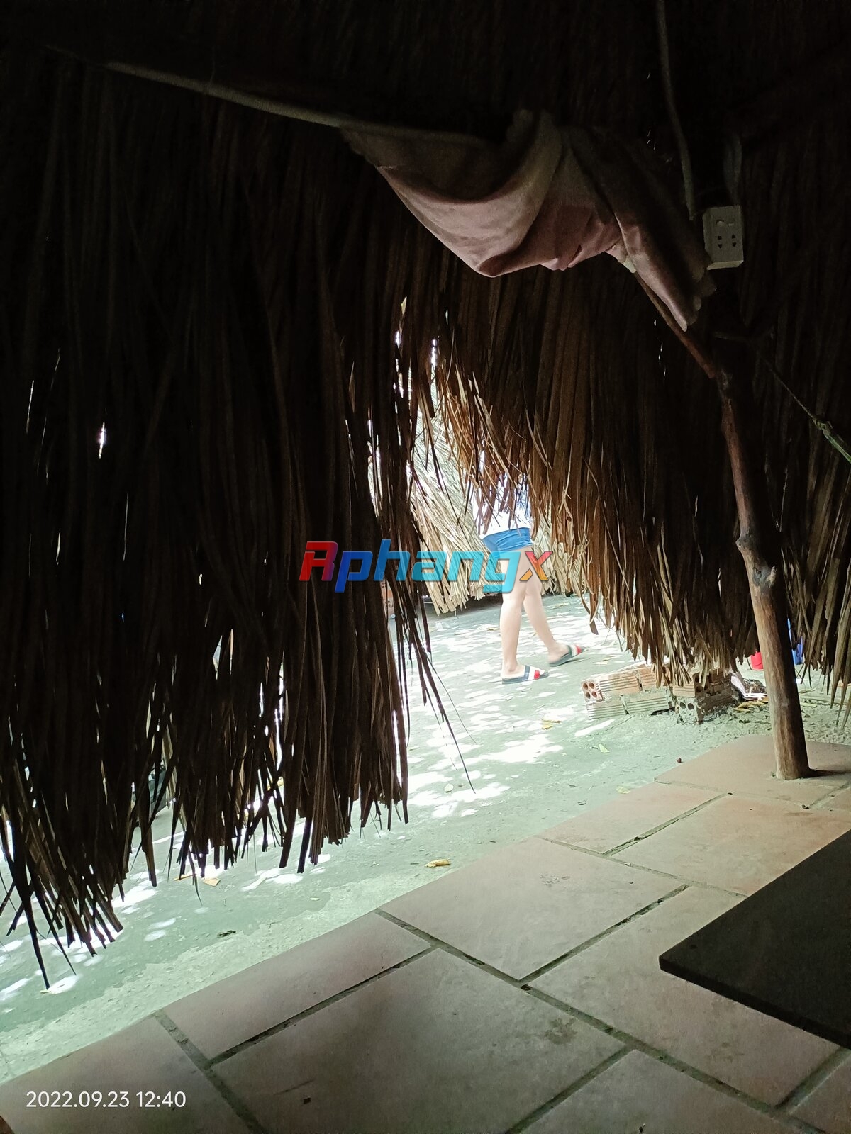 IMG20220923124023.jpg