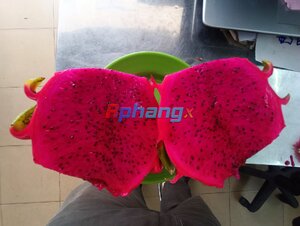 IMG_20221005_101543.jpg