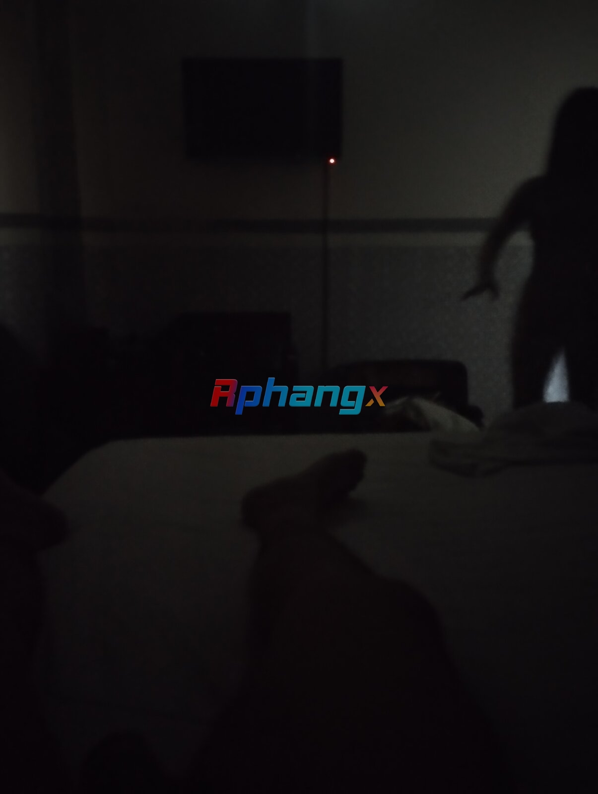 IMG_20221205_161201.jpg