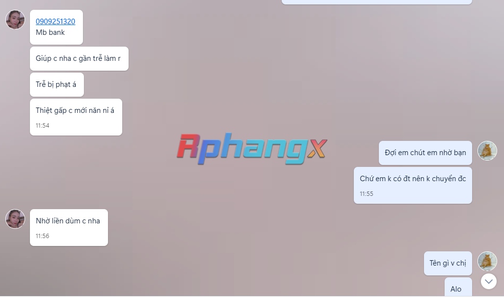 330074861_1306087846604178_5881518808541944634_n.png