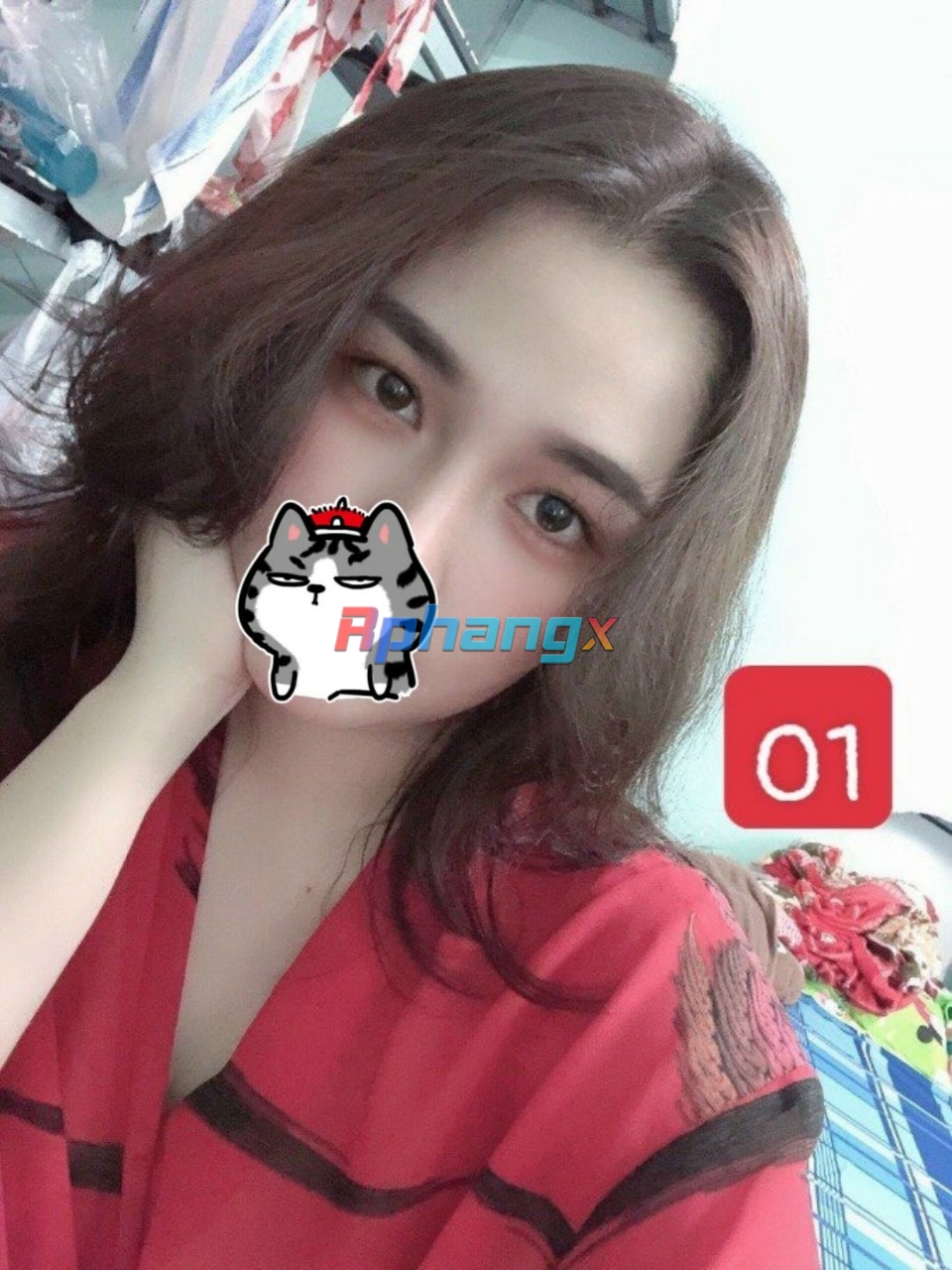 01 ...................jpg