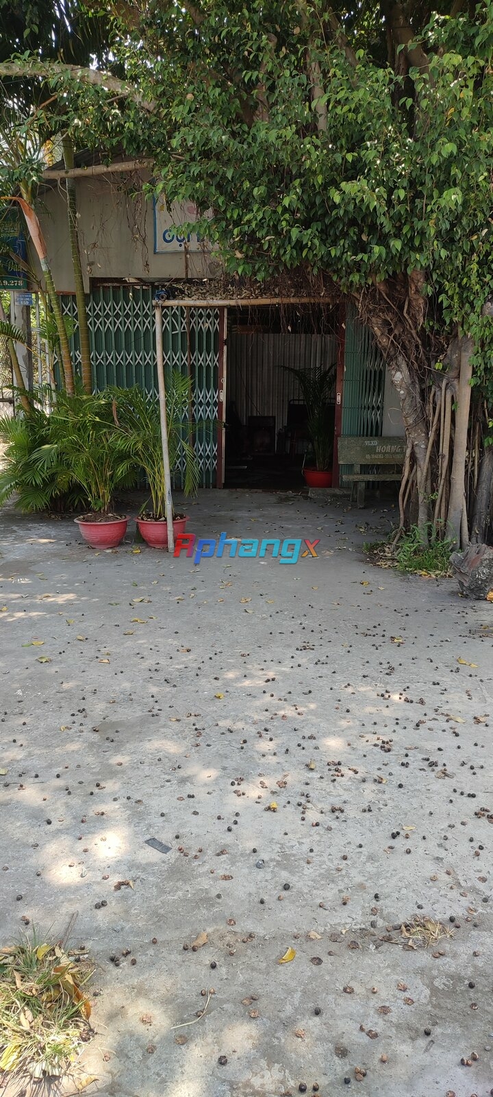 IMG_20230316_101259.jpg