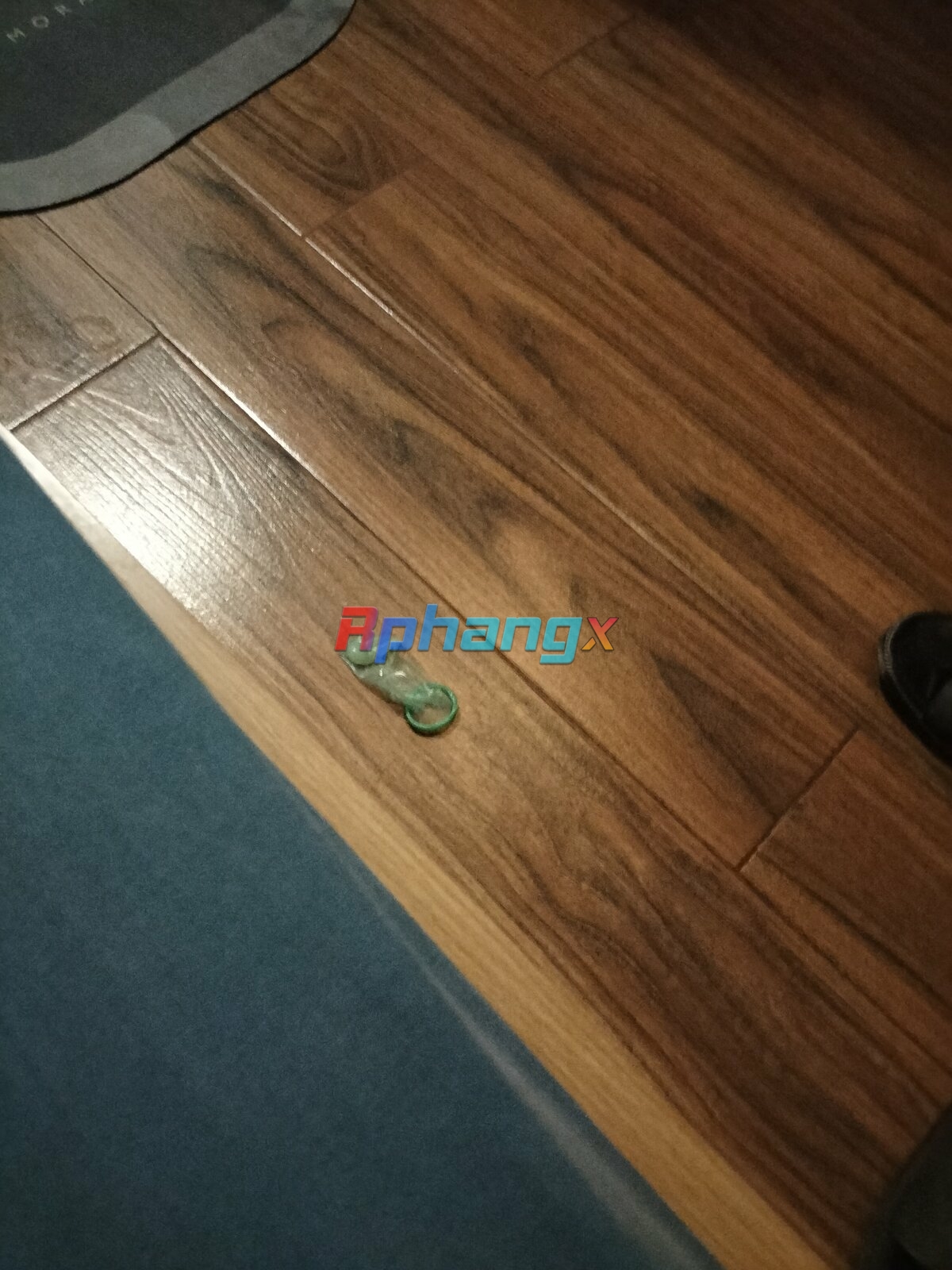 IMG20230408143230.jpg