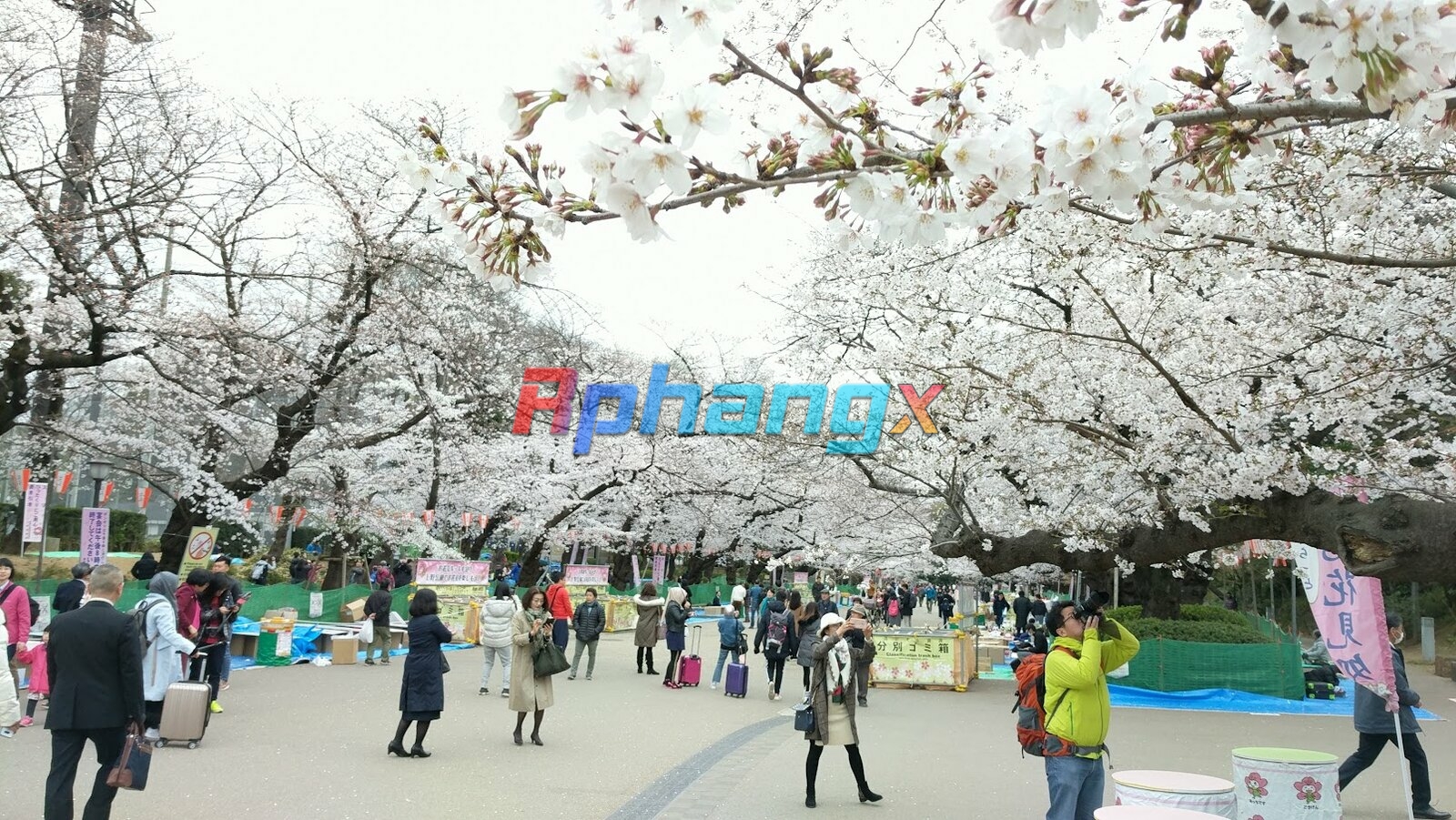 Ueno_Park_IMG_20190329_085310.jpg