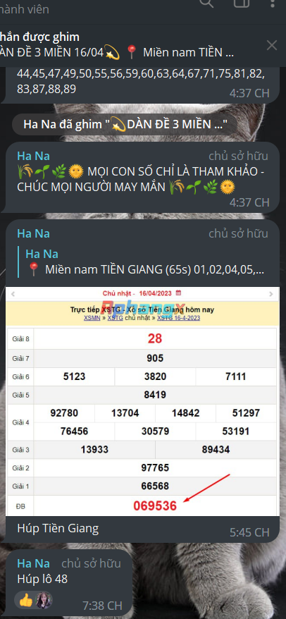 1681647062758.png