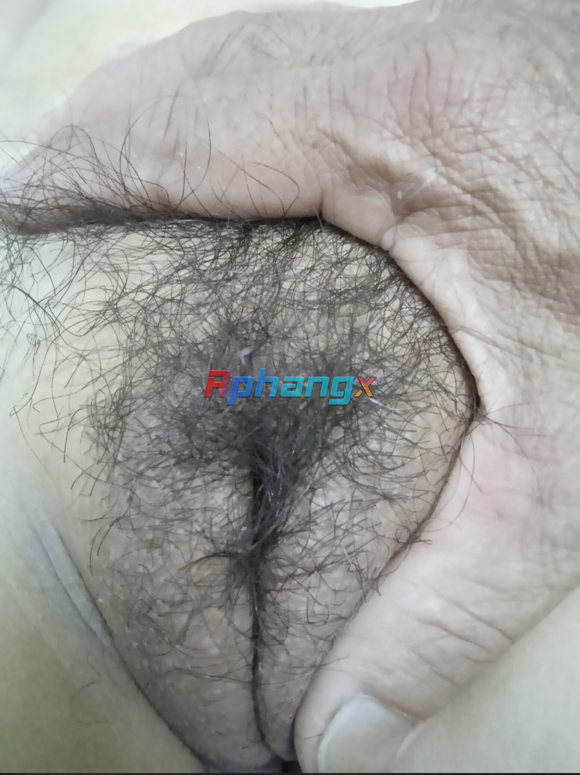 328FA763-5A1C-4A7E-A9FA-180C792015D4.jpeg