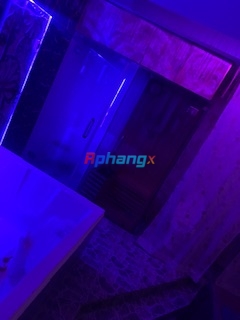 IMG_0218.jpeg