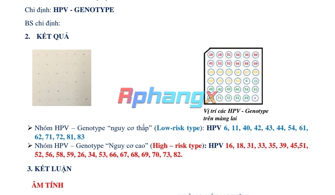 Screenshot_20230517_095516_Word.jpg