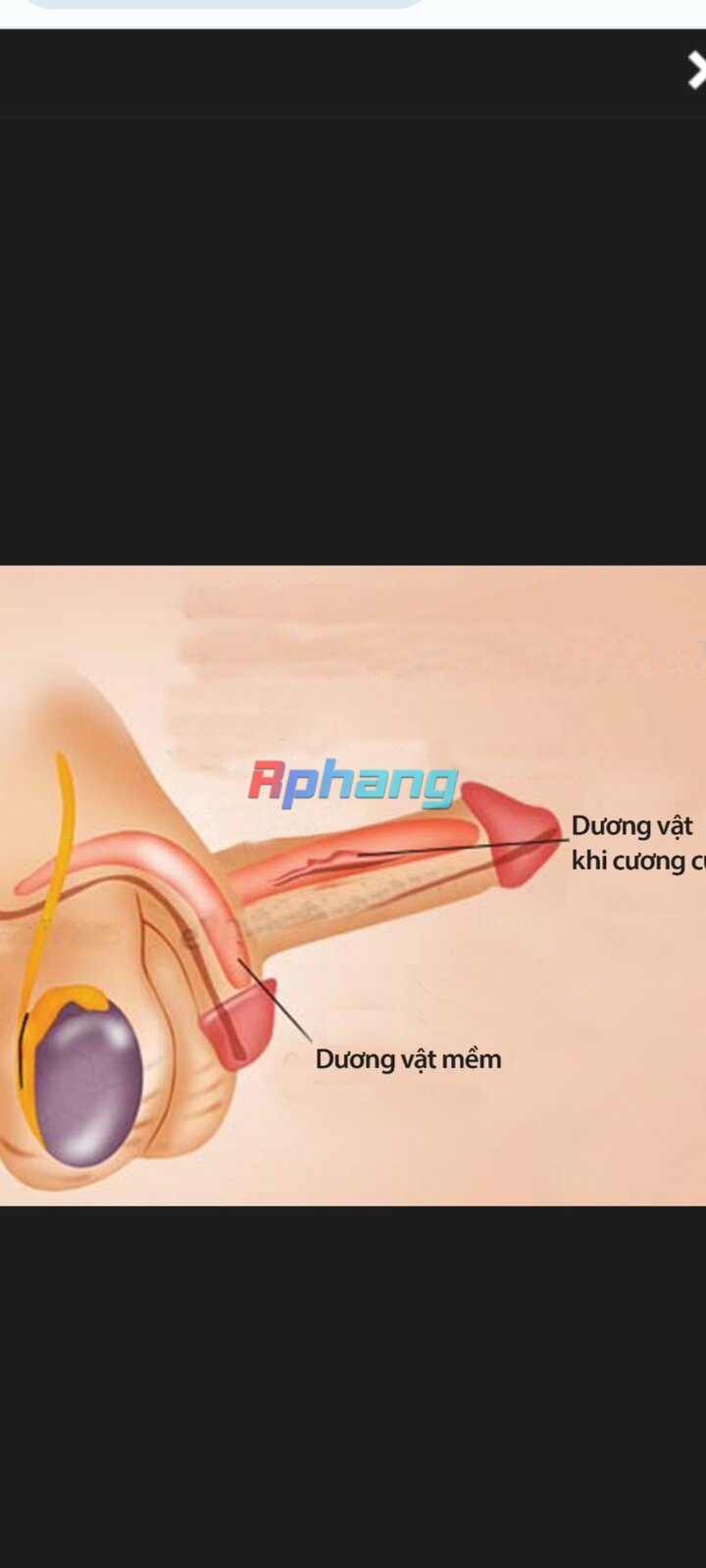Screenshot_2023-06-21-22-37-20-598_com.miui.gallery.jpg