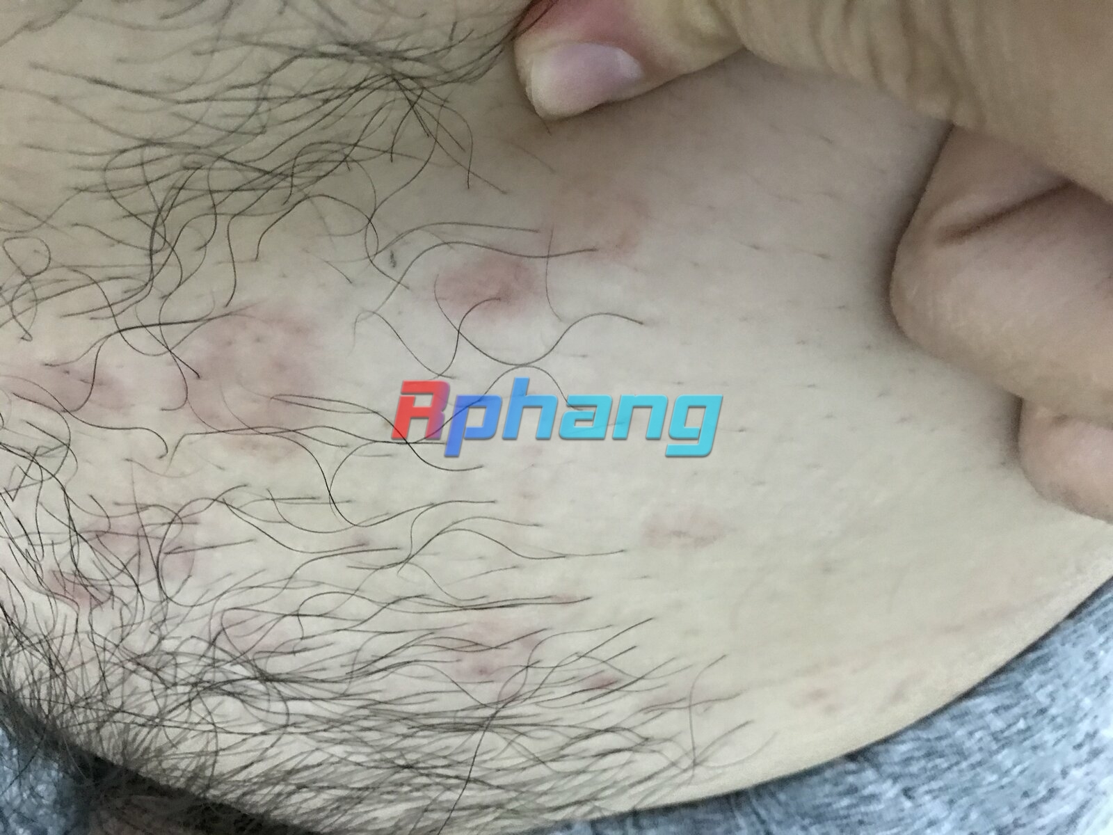 A0769A82-8AE8-4156-8EFF-35EEAA271C3C.jpeg