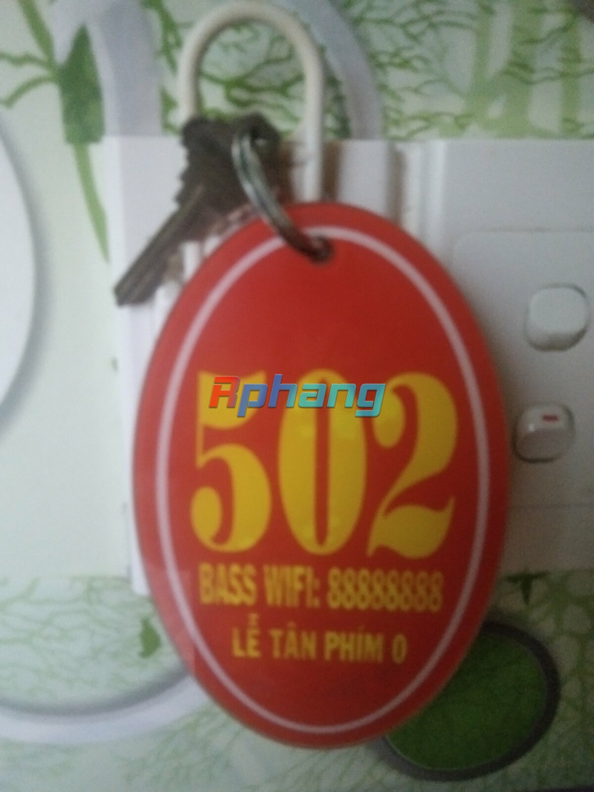 z4493526041251_04e42b2b1e85b62457d08307e6c418d8.jpg