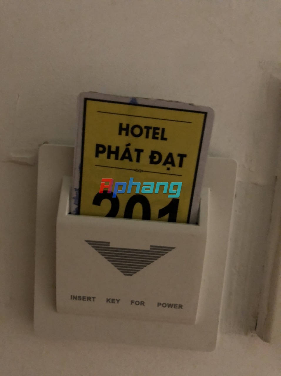 1688652840495.jpeg