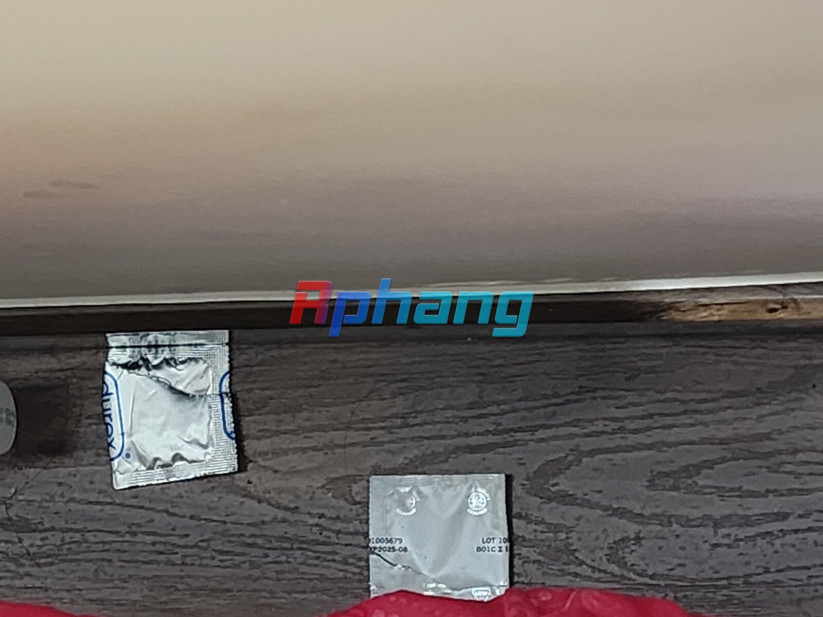 20230720_203749.jpg