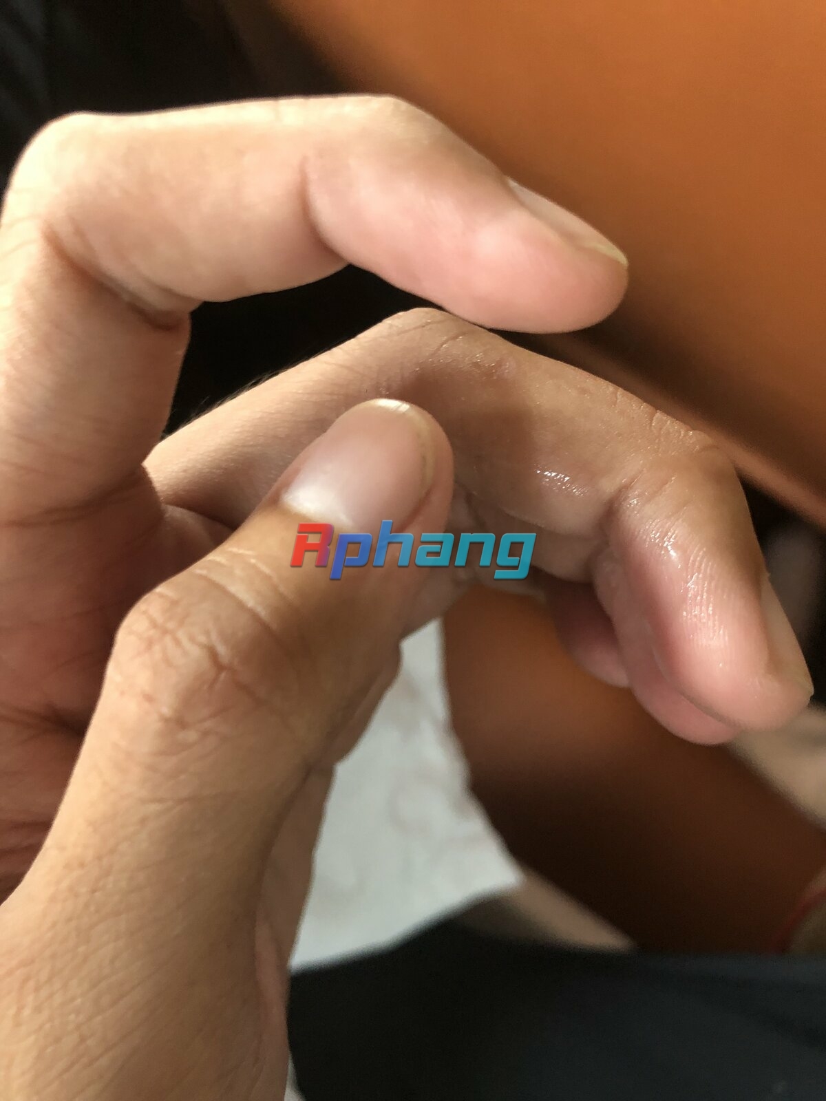 8762B072-DDE1-4AC2-BBA0-EC42691C9CE5.jpeg