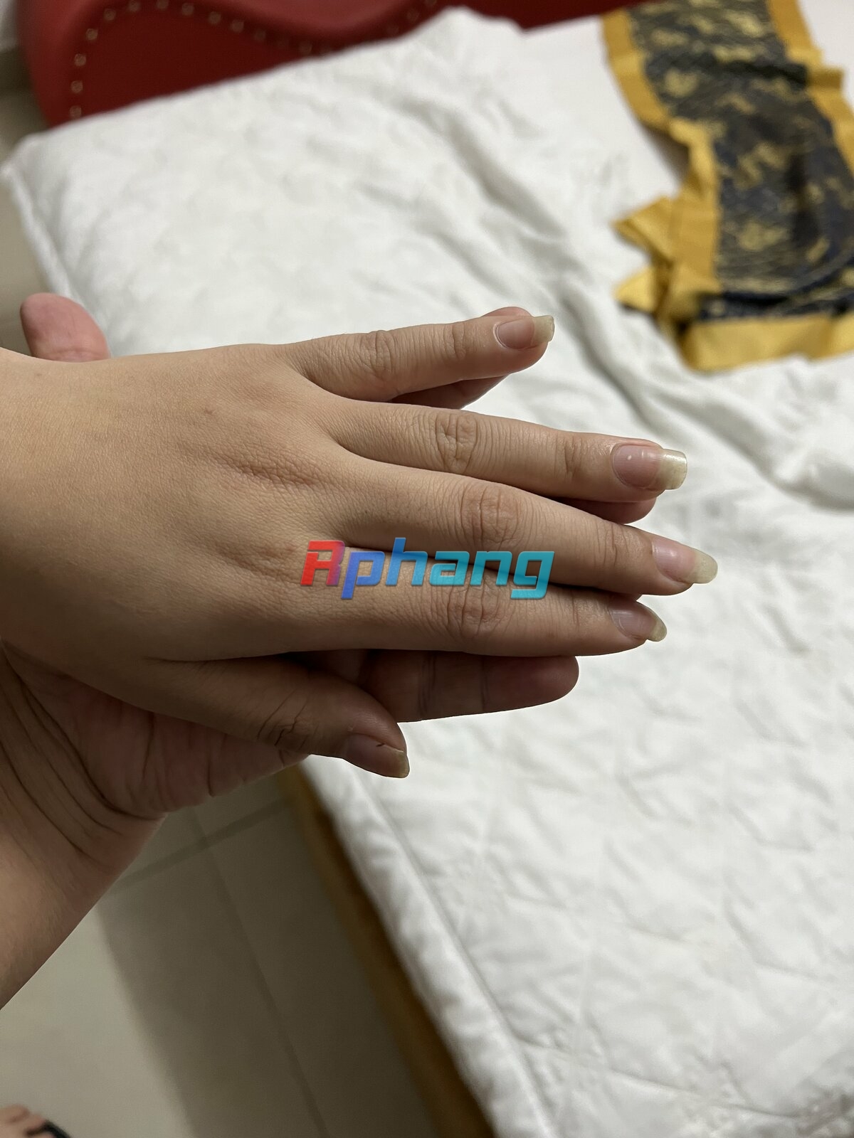 IMG_9495.jpeg