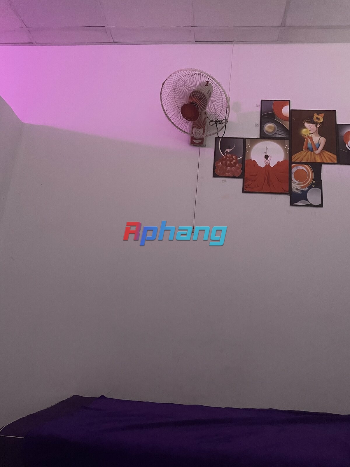 99187D38-5A73-4E4B-B9C4-EA89CA9A0AE0.jpeg