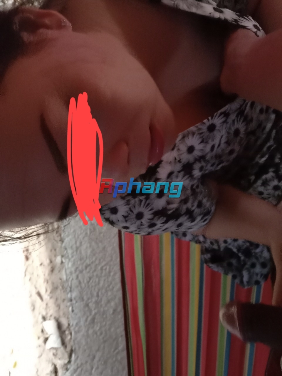 IMG_20231101_061219.jpg