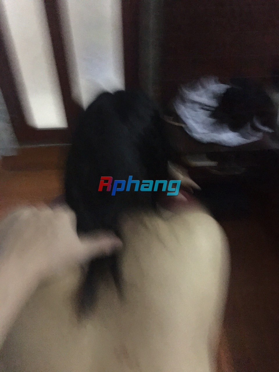 z4901419275371_1b45a049a39c2b34095afe6887ff75fd.jpg