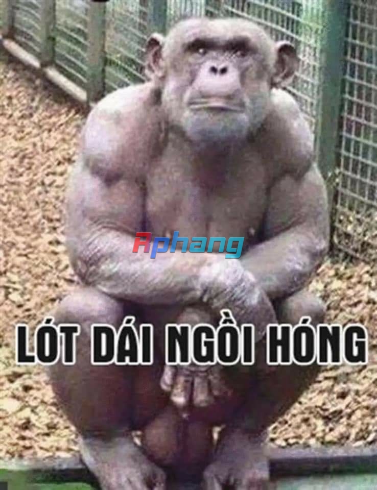 FB_IMG_1701497508419.jpg