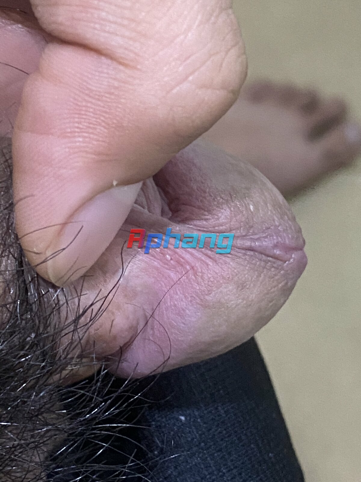 EBA1ACF4-B278-4D4C-B78E-F3E6709006A0.jpeg