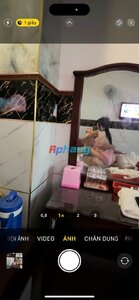 review-of-vi-tieu-bao-for-reup-tram-anh-sieu-pham-vu-to-mat-dam-mong-to-bao-ngon-2943352-orig...jpeg