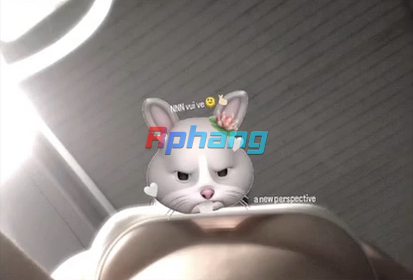 z5212649569772_e2f191b64e4b37dacdc446624df54795.jpg