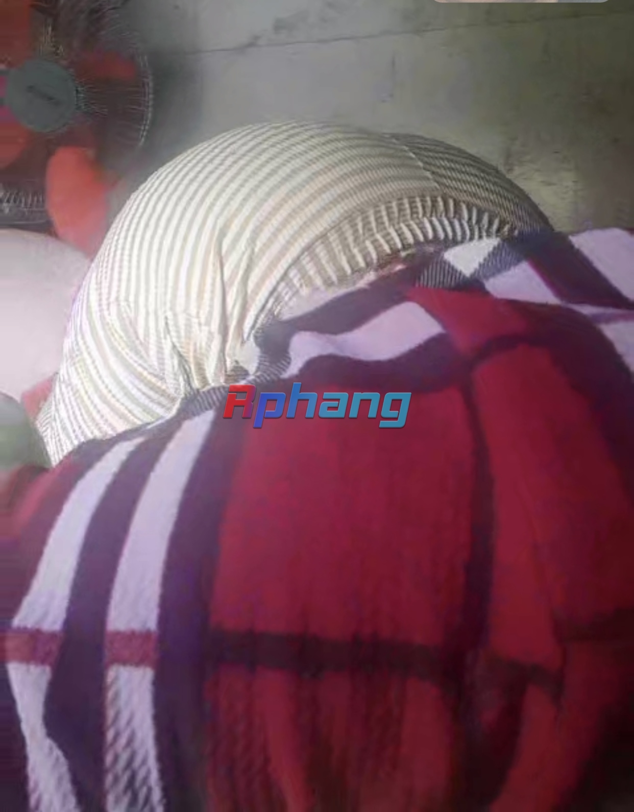 2E05254C-3515-47EA-A969-2CF8B7848284.jpeg